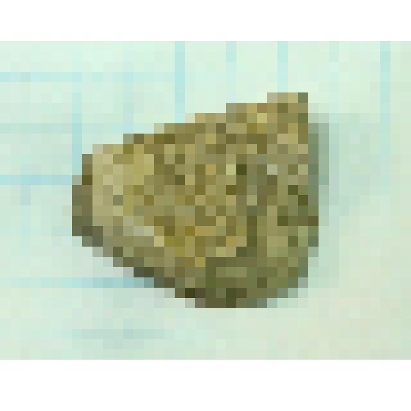 Скребок