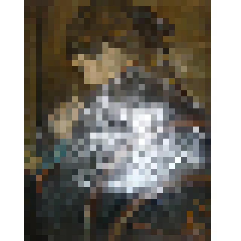 Картина. Портрет Перовой О.И