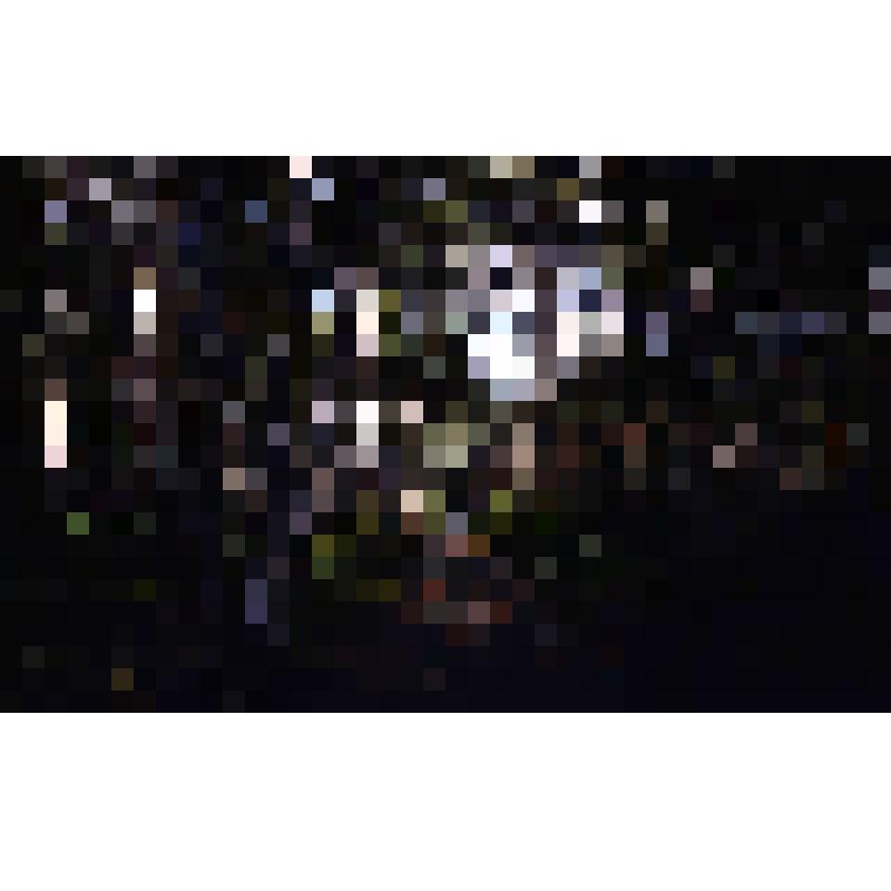 Диапозитив. Парк. (323)