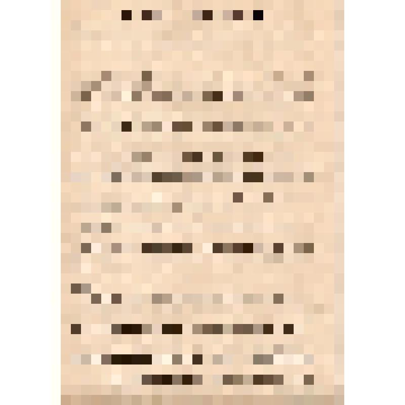 Херсонский губернский информационно-инструкторский подотдел. Инструкция об образовании городских, волостных и сельских комитетов бедноты. Временное положение