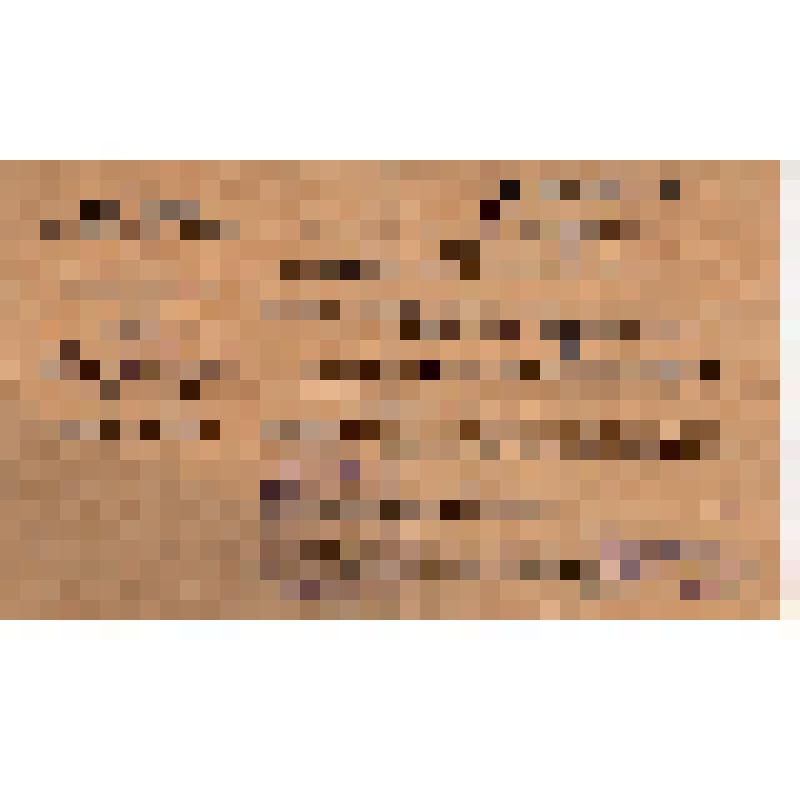 Удостоверение Бирмана И.А. - командированного Орским райисполкомом Совета на посевную кампанию