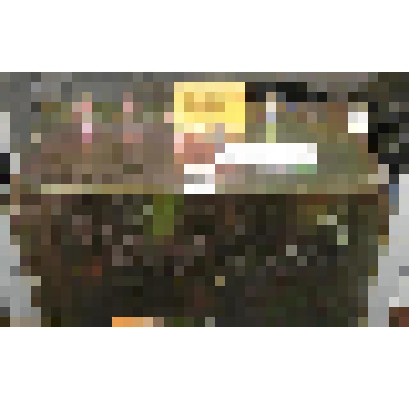 Стойка 19". Блок разветвления