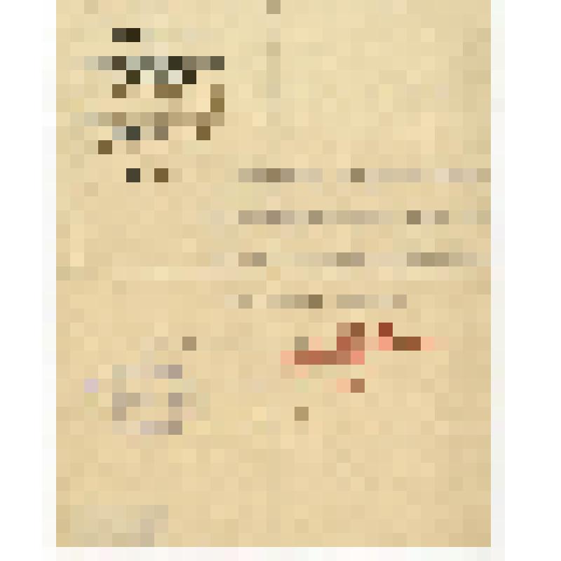 Удостоверение Пятунина И.Я. о назначении его заведующим секцией по топливу коммунального хозяйства Невского Совета рабочих и красноармейских депутатов