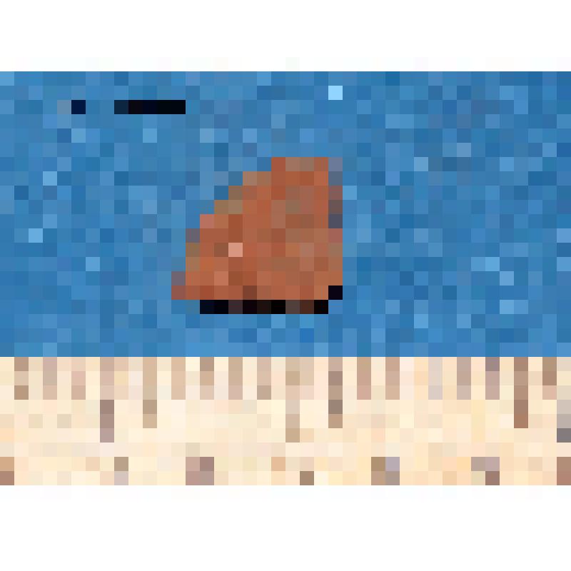 Стенки сосуда лепного коричневого цвета фрагмент