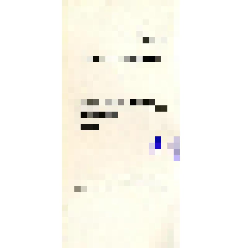 Программа спектакля Государственного Республиканского русского драматического театра им. В. Г. Короленко. М. Горький. Васса Железнова