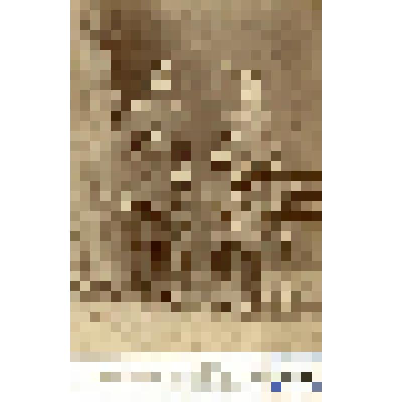 Фотография черно-белая. Рябинкин Константин и Флейшер Рафаил