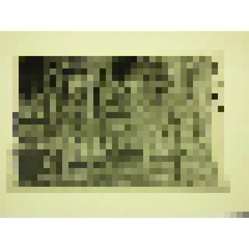 Пионерский лагерь "Линейка" (Саулык). Татарстан, г. Набережные Челны. Пионерский лагерь "Линейка" (Саулык) Жилой корпус. Вид из 2-х кадров. (правый кадр)