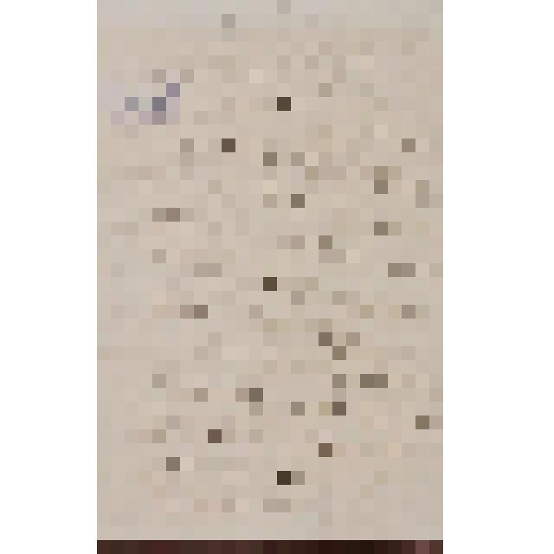 Кожанчиков Дмитрий Ефимович. Письмо Островскому А. Н. об издании собрания сочинений