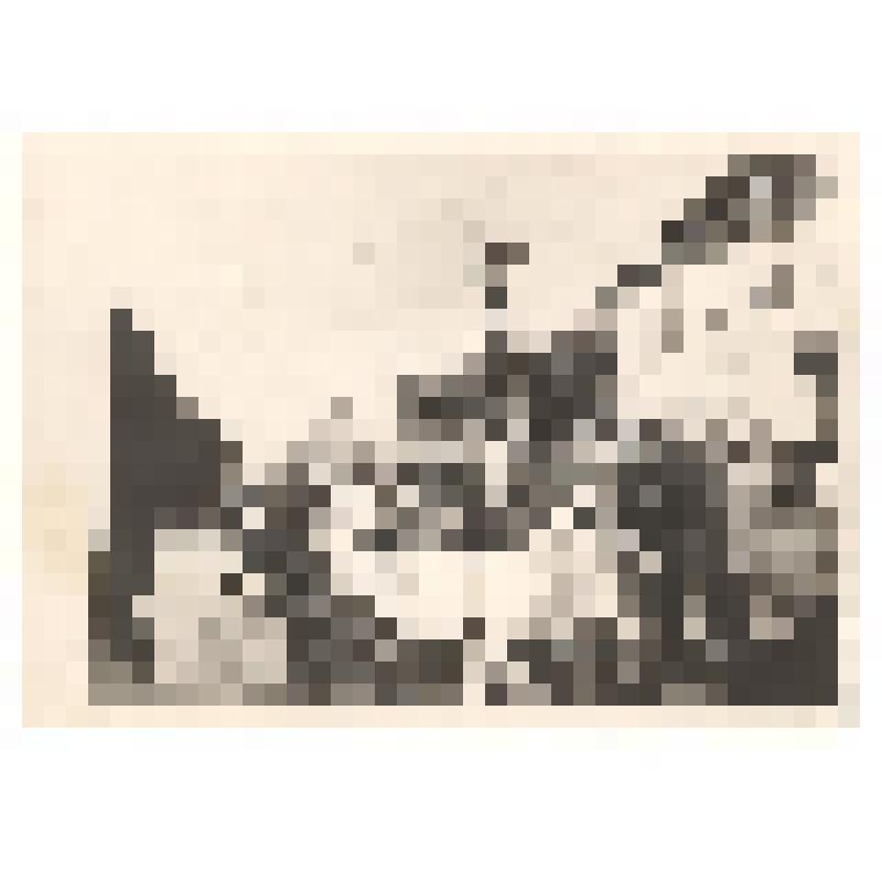 Фотография. Демонстрация трудящихся г.Холмска 1 мая 1961г
