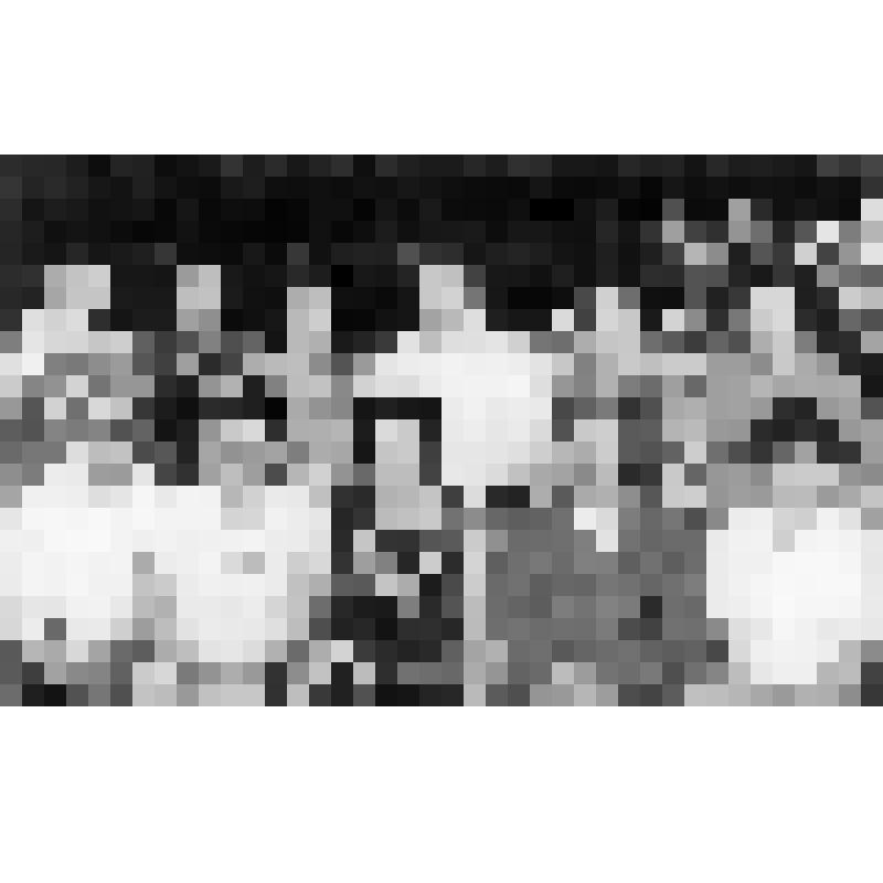 Памятная фотография. Бородина Татьяна Егоровна, главный бухгалтер гороно г.Азова, с директорами школ г.Азова, в день ее 55-летия (нижний ряд посередине)
