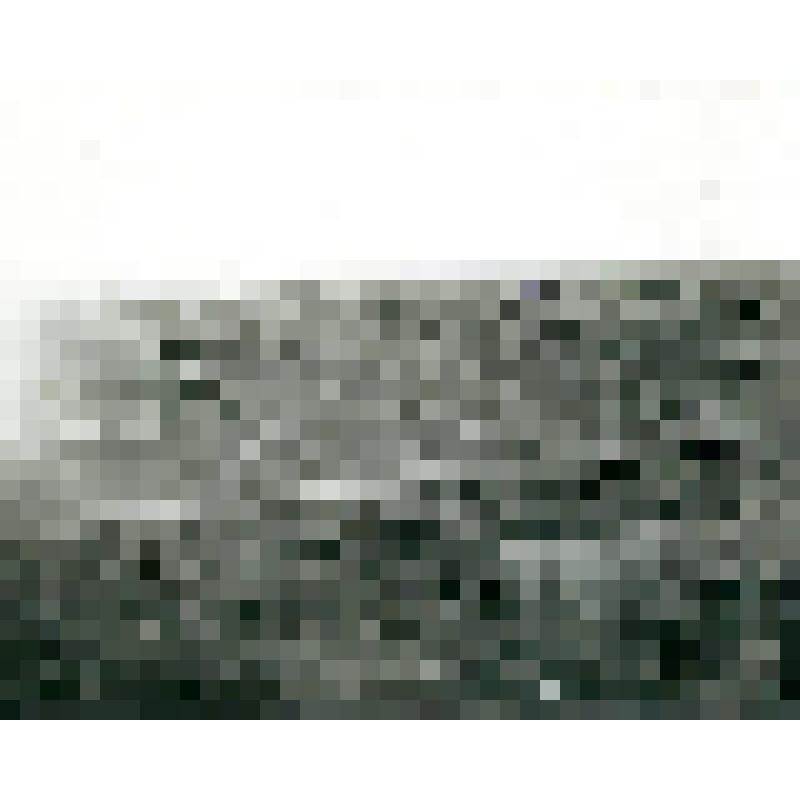 Фотография. Плавник на косе у устья р. Нудмаль