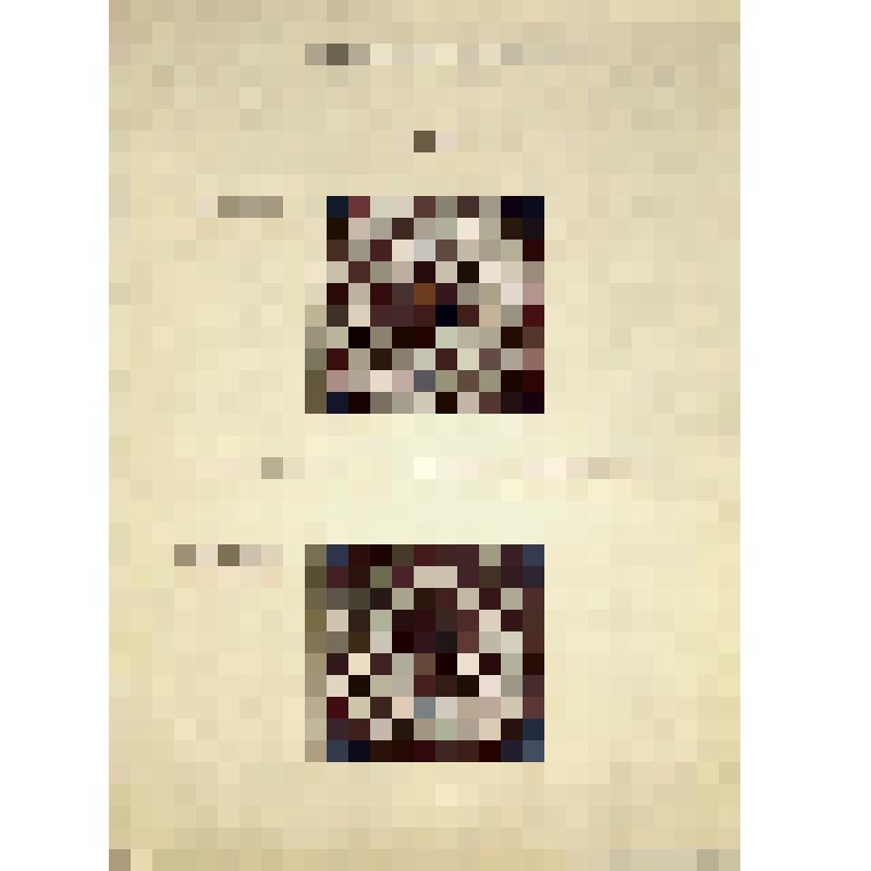 Таблица с двумя образцами вышивки. Из альбома «Образцы ручной и машинной вышивки»