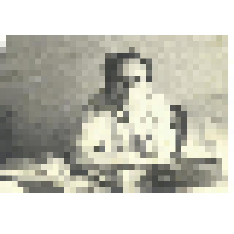 Фотография погрудная. Дудинцев Владимир Дмитриевич, советский писатель