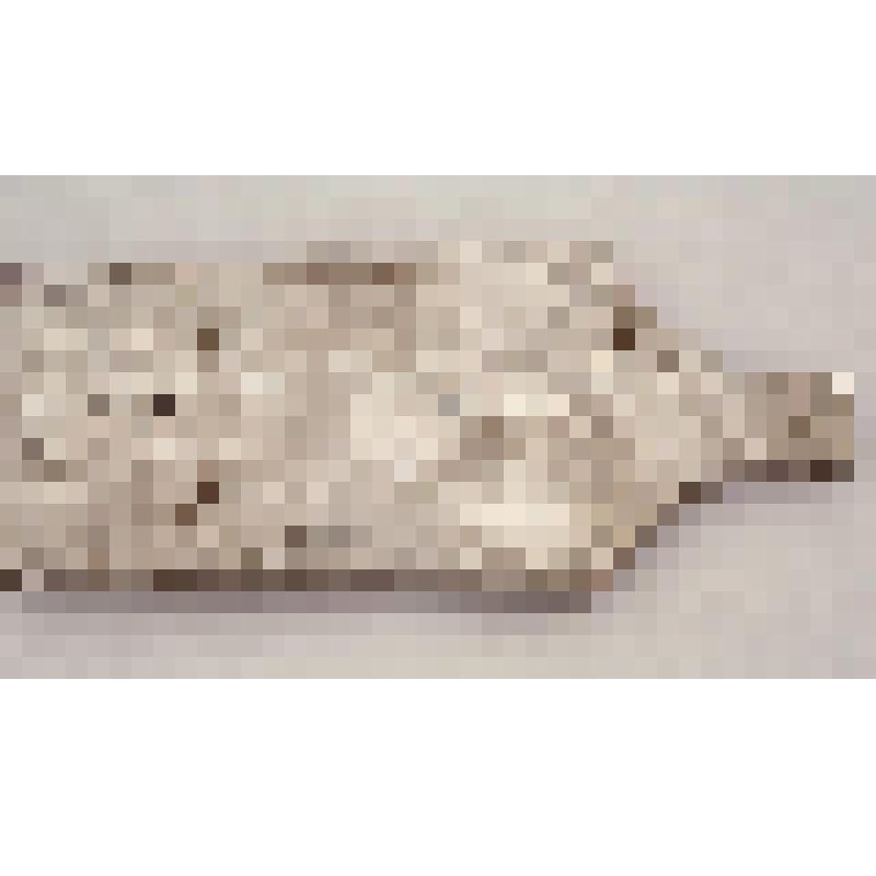 Черепица кровельная лемеховая