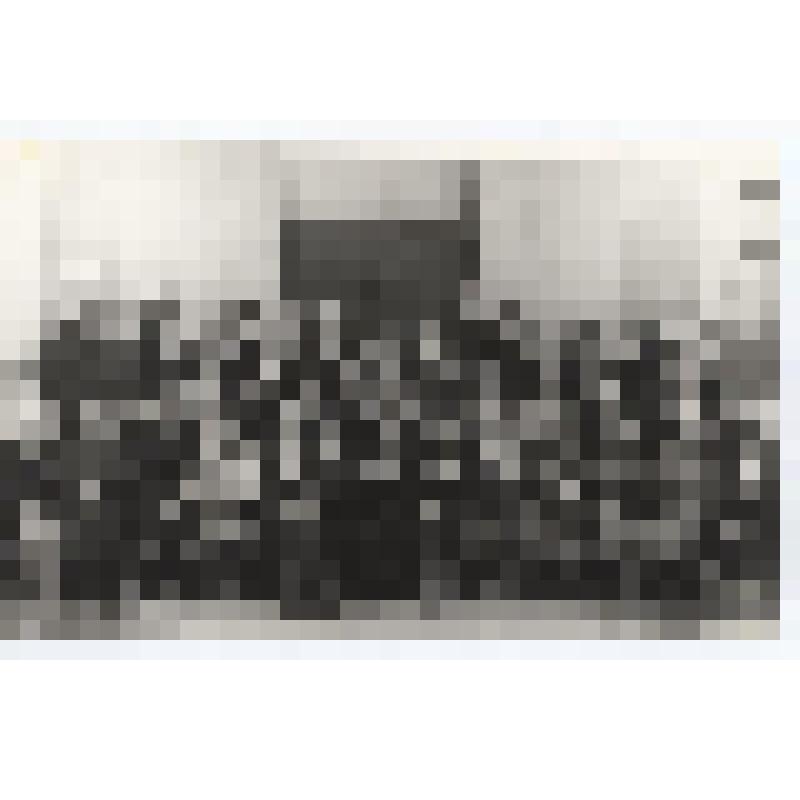 Фотография. Гребенщиковой Анна Васильевна в группе с однополчанами