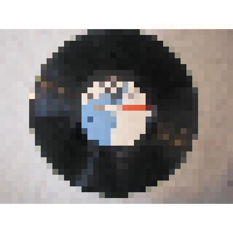 Грампластинка. И.Тургенев. Стихотворения в прозе. Э.Золя. "Нана". Фрагмент из романа