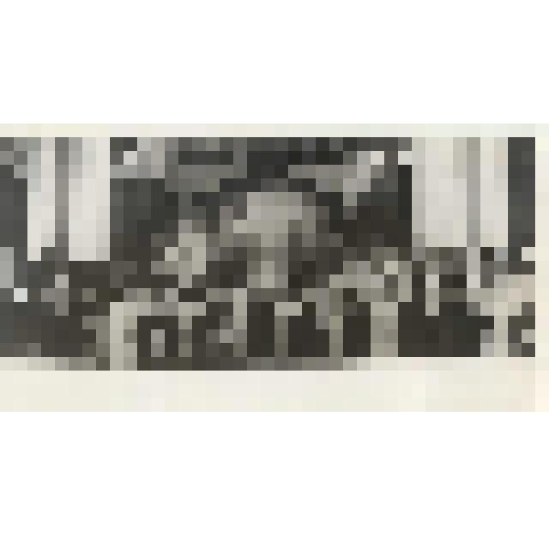 Торжественное заседание в Большом театре, посвященное 175-летию театра. Фотография