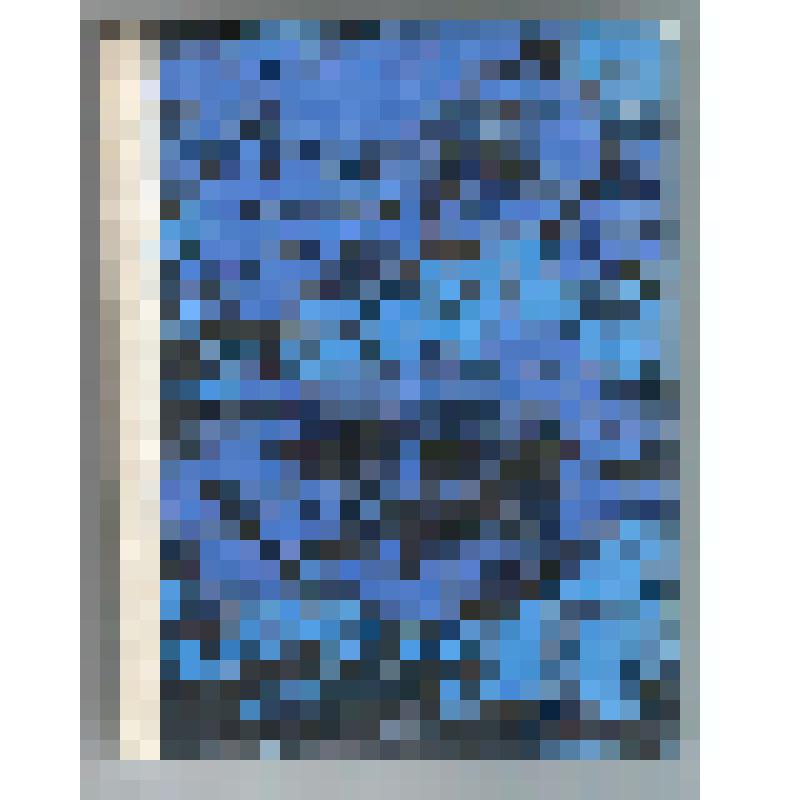 Книги. Книга "На крылах дружби. Подорожнi записи. (На крыльях дружбы. Путевые заметки. На украинском языке)". - Киев: Днiпро,1979