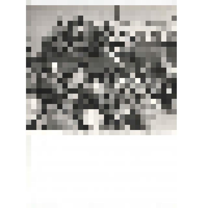 фотография
празднования  300-летия  пос.Белоярского