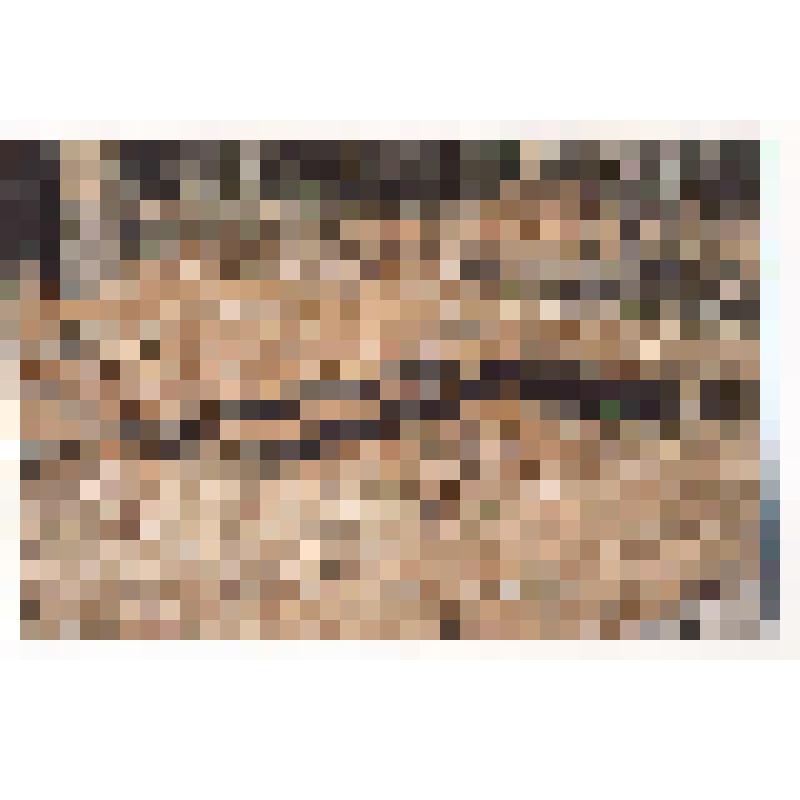 Фотография. Остатки избы на 8 км в сторону Нижневартовска