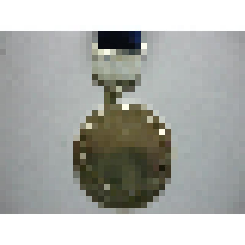 Медаль. Чемпионат СССР, на планке (за II место)