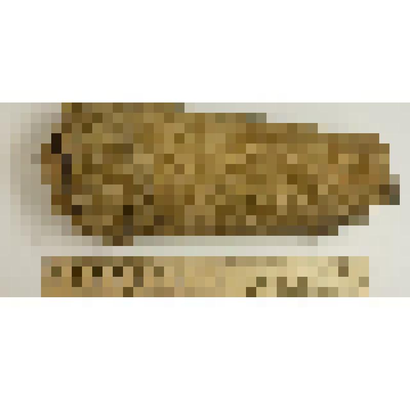 Тор-кижи - фитиш, покровитель охоты