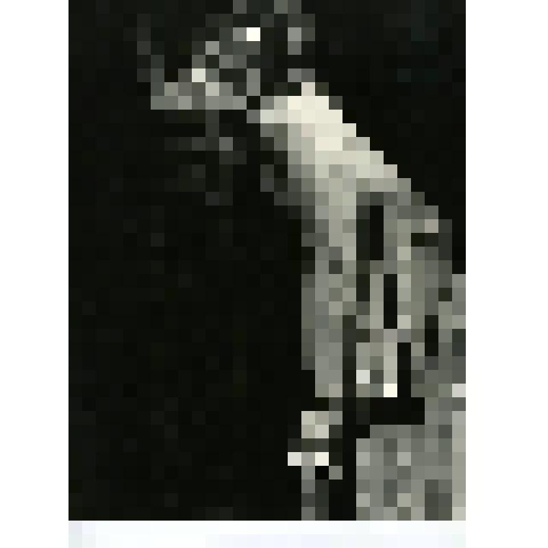 Фотография. О. Яковлева - Жозефина, стоит, поколенно, подбородком опирается на стол, профиль, в одной руке держит вазу. "Наполеон Первый" (Пост. А. Эфрос, худ. Д. Крымов.). Москва, Малый драматический театр на Малой Бронной