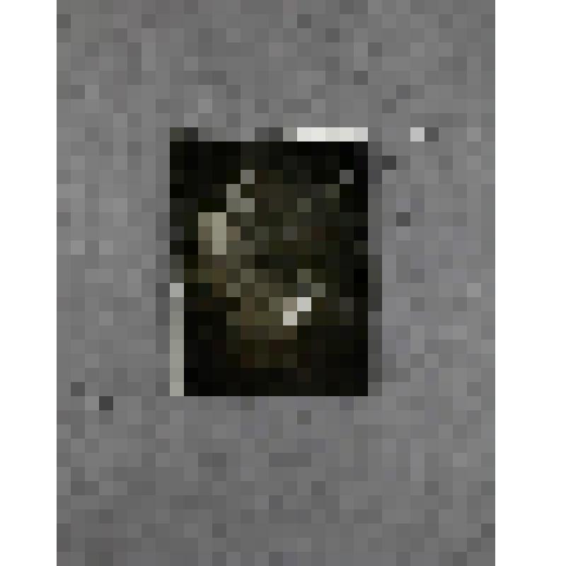 Фотография. Лесков Андрей Николаевич - сын писателя