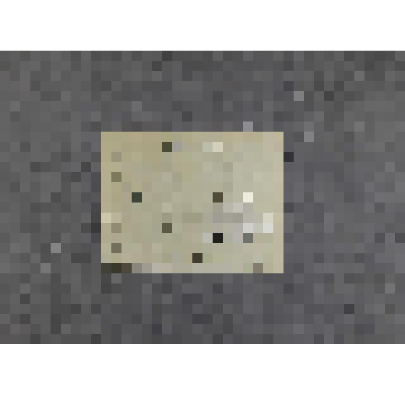 Фотография. Лесков Андрей Николаевич - сын писателя