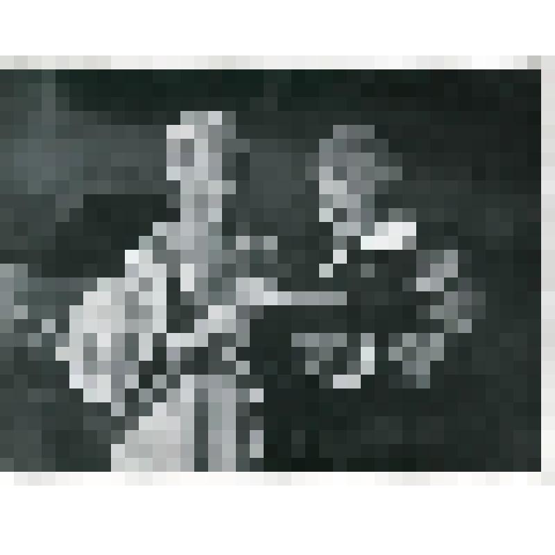 Фотография. Оливия - Н. Булгакова, поколенно, фас, в левой руке розы, рядом стоит Мальволио - А. Бишаминов, поколенно, 3/4 вправо, в руках книга. "Двенадцатая ночь" (реж. и худ. Н. Акимов.). Ленинград, Театр Комедии