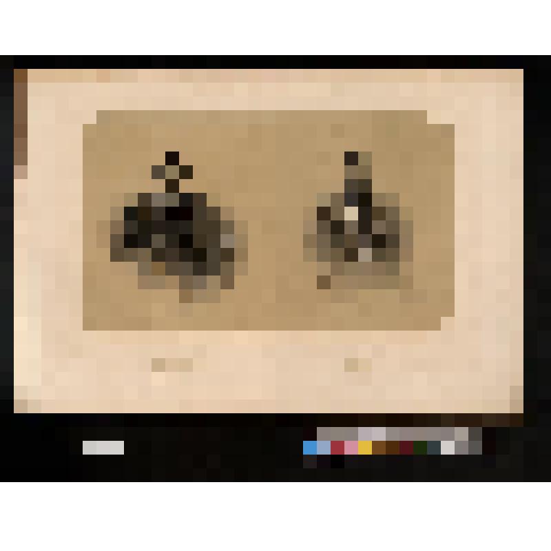 Два портрета: Генерал-лейтенанта Липранди; Полковника Тотлебена (на одном листе)