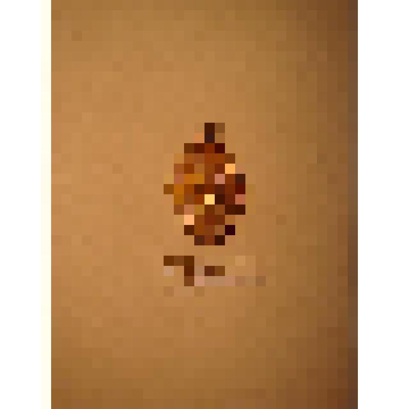 Жетон с изображением Л.Н.Толстого