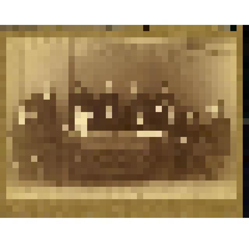 Фотография. Бахрушин А.А. с членами комитета по однодневному сбору пожертвований в пользу Бельгии и Польши, 1915 г