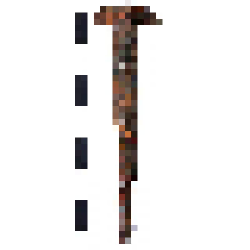 Железный гвозль