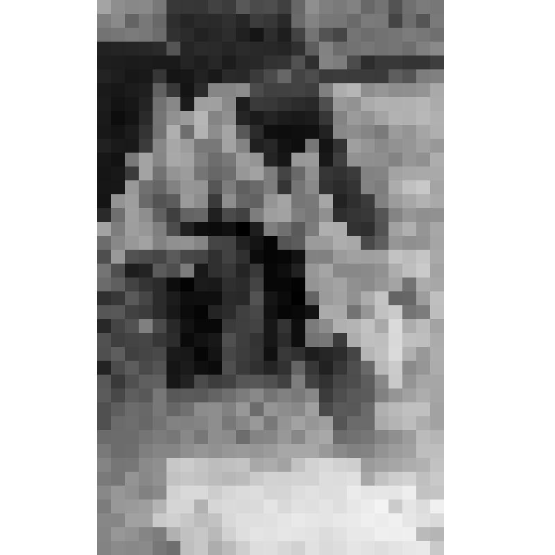 Фото ч/б. Дашков Э.И. потрошит катрана. Бетта, октябрь 1978 г