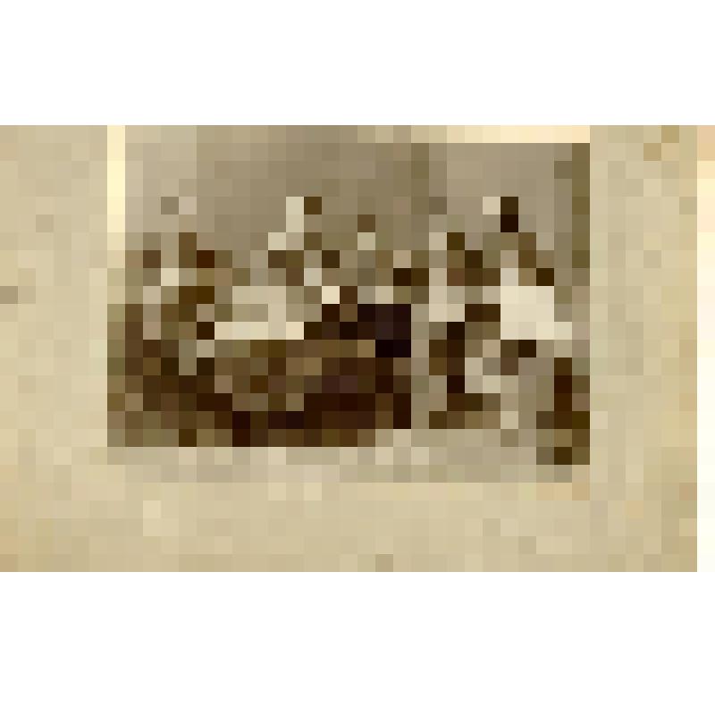 Фотография. Горький А.М. в группе организаторов и артистов Народного дома