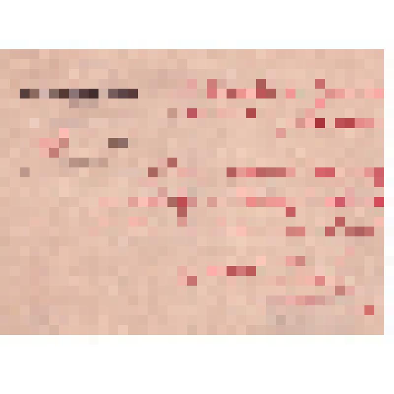 Записка Калинина управляющему Кремлем и домами ВЦИК Волкову