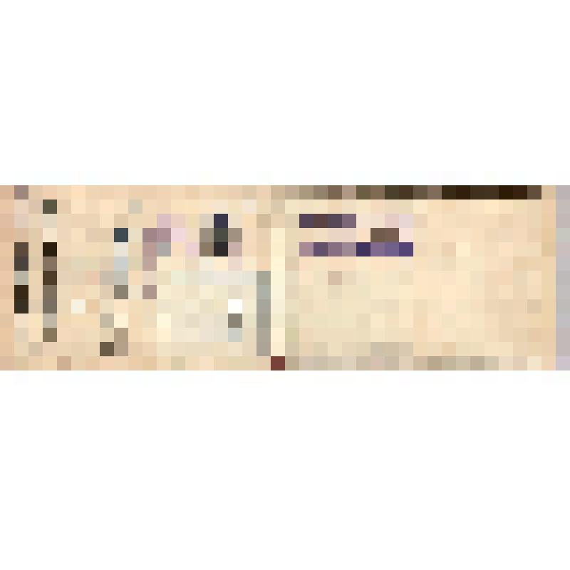 Пропуск N17733 Семячкина П.П