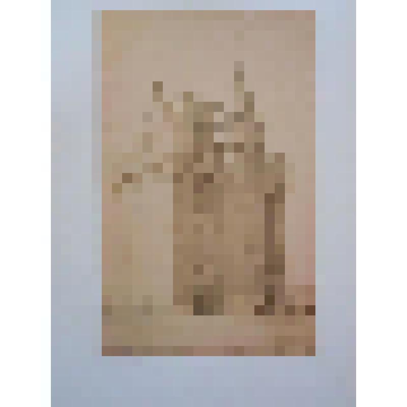 Музей древностей и вооружения. 1847 г. Бельгия, г. Брюссель. Музей древностей и вооружения. 1847 г. Общ. вид