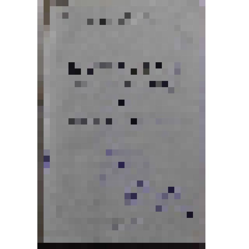 Книга. Материалы к отчету Башобкома ВКП(б) ХVI Облпартконференции