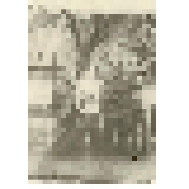 Фотография. Учащиеся 4-го взвода первой роты Саратовской спецшколы ВВС № 8, (слева направо) - Цыгановский Борис, Кураев Виталий и Ефремов Николай, после спортивных состязаний