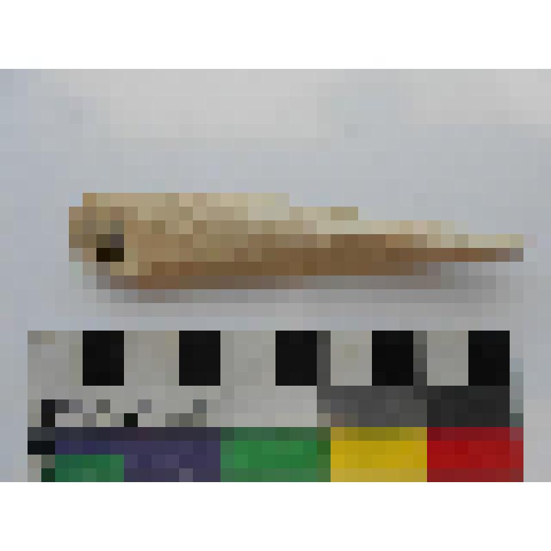 Археология. Проколка костяная