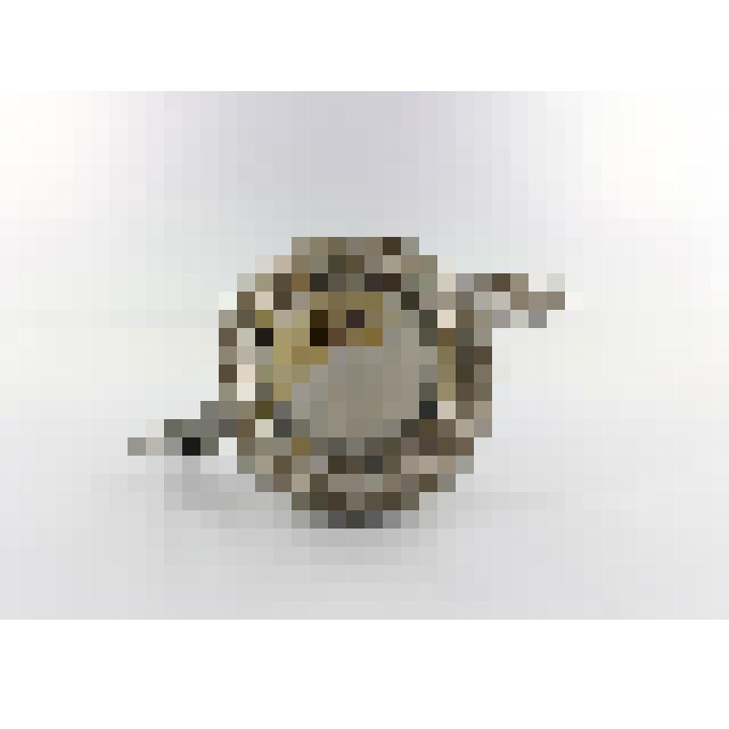 Чайник грушевидной формы, с фигурной колокообразной крышкой, с петлевидной ручкой; тулово и крышка покрыты гравированным растительным орнаментом и персидской надписью