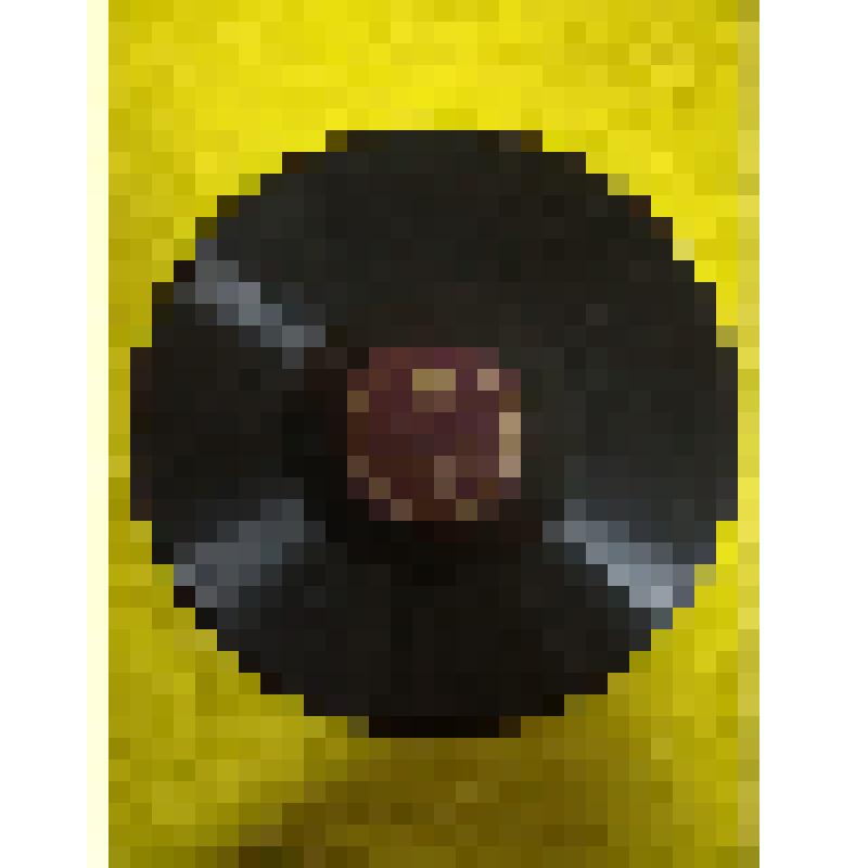 Грампластинка. Доклад Председателя ВЦИК тов. М. И. Калинина на чрезвычайном XVII Всероссийском Съезде Советов «О проекте Конституции РСФСР 15 января 1937 г