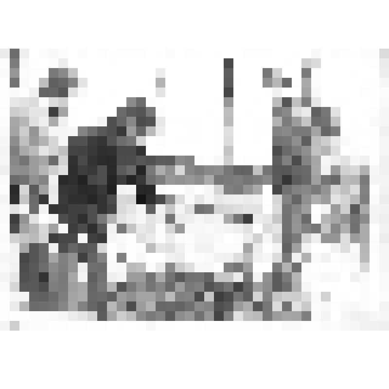 Зуев А.В., Павленко В.А., Щеглов, Сандул (слева направо) на озеленении АКДП