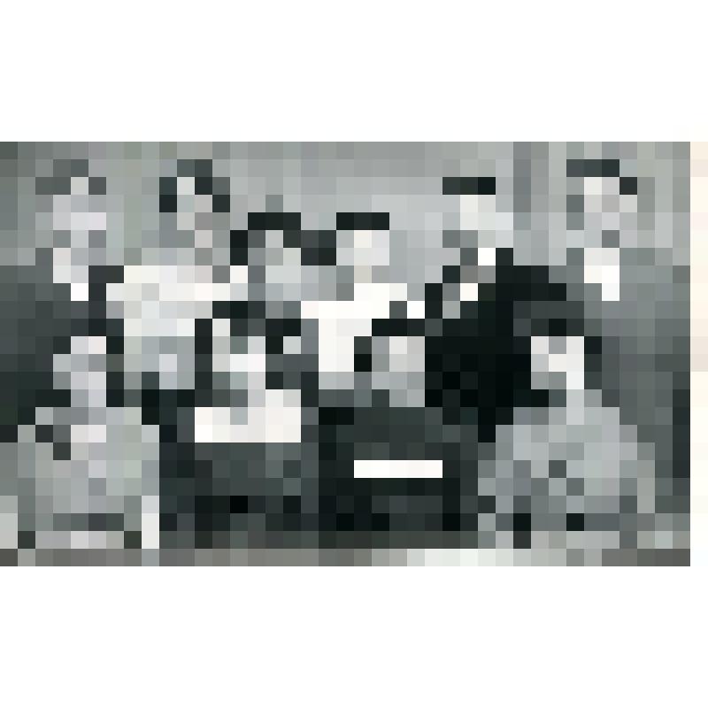 Молодые учителя Зимовниковской средней школы №1. Ларкин Ким Иванович - 2 ряд, 2 справа