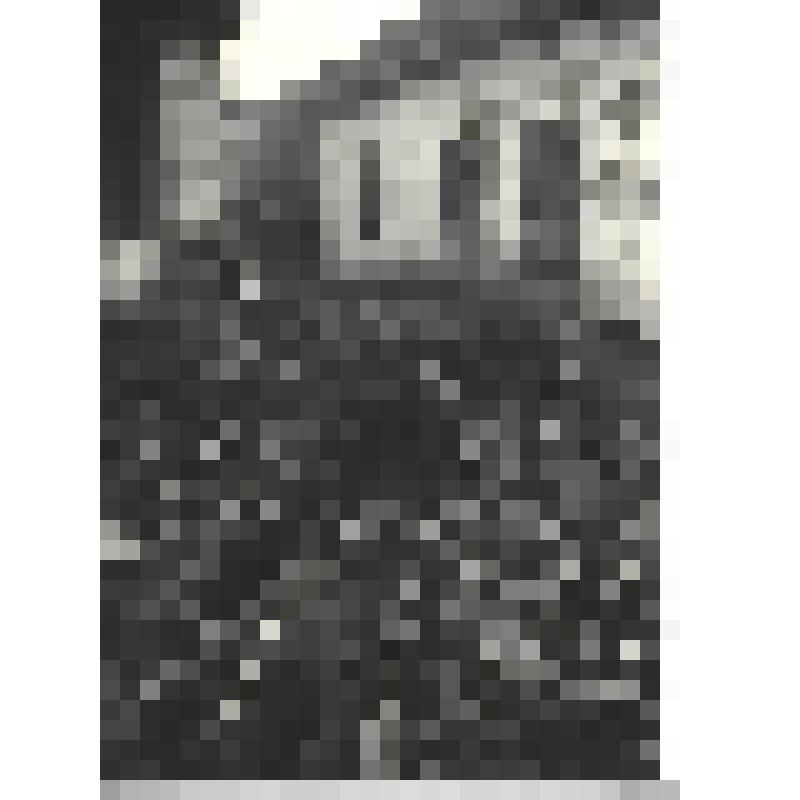 Фотографии. Фото ч/б. Бойцы ведут бой на окраине Новороссийска, 1943 г