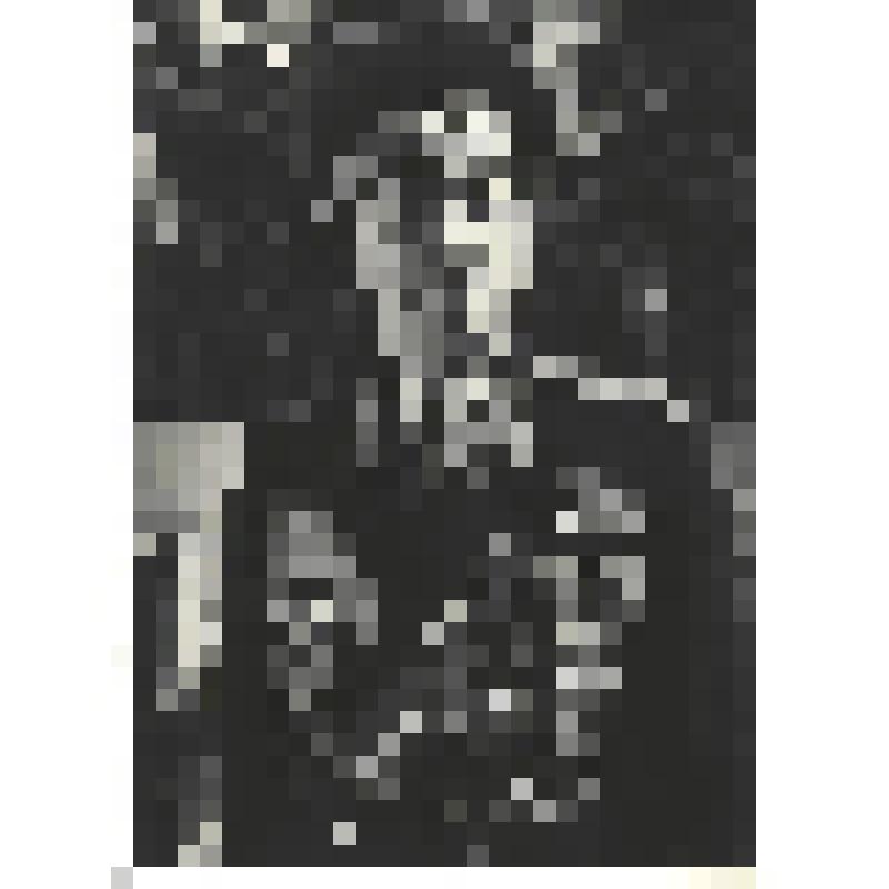 Фотографии. Фото ч/б. Четырежды Герой Советского Союза, Маршал Советского Союза Георгий Константинович Жуков