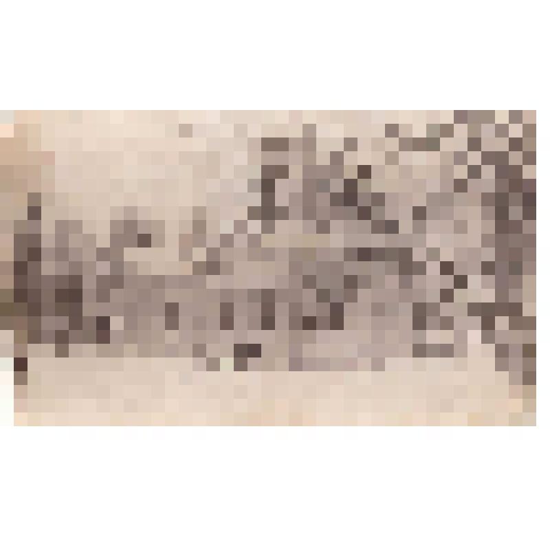 Фотография. Церковь в Семеновске