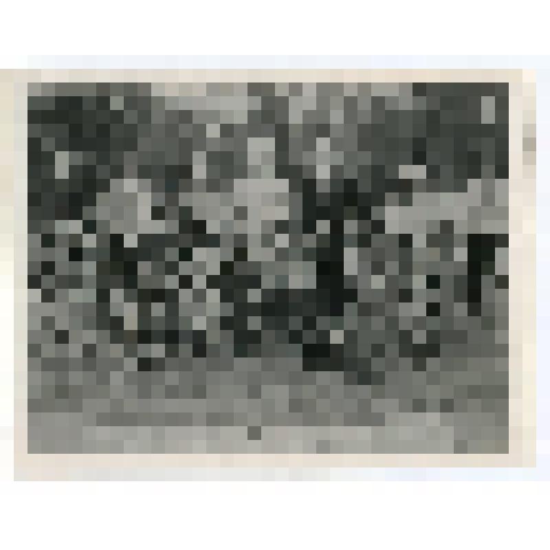 Фотография черно-белая. А.К. Мигаловский на велосипедной прогулке на реке Коште